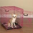 Crate Appeal Color Crate 30"L x 19"W x 22 1/2"H Pink Punch