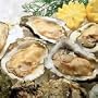 Great Gourmet Fresh Oysters (1 Quart) Shucked