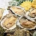 Great Gourmet Fresh Oysters (1 Quart) Shucked