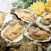 Great Gourmet Fresh Oysters (1 Gallon) Selects Shucked