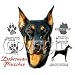 Doberman Pinscher Adult T-Shirt