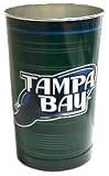Tampa Bay Devil Rays MLB 15