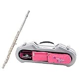 Emerson EF6SB Flute with VH1 Cargo Case