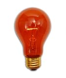 25 Watt A19 Transparent Amber Light Bulb