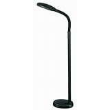 Full Spectrum Floor Lamp