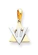 14K Star of David w/ Shin Pendant