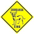 CHIHUAHUA CROSSING sign * street pet dog