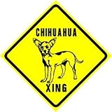 CHIHUAHUA CROSSING sign * street pet dog