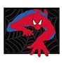 Plasticolor Spiderman