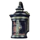 12-Inch Outdoor Wall Light