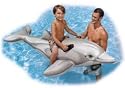 Inflatable Dolphin