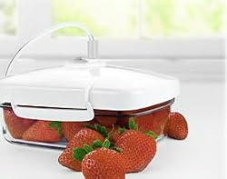 Tilia FoodSaver 1-qt. FoodSaver SaverMate Square Canister