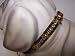 Kitchen & Housewares : Jungle Princess 8in Dog Collar Tiger1462