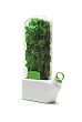 PREPARA HERB SAVOR