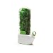Prepara Herb Savor