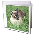 Cats - Siamese Cat - Greeting Cards-12 Greeting Cards with envelopes