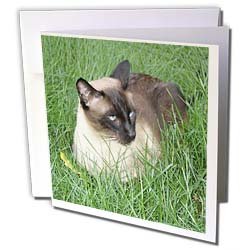 image link -  - B002TDUR6S