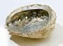 Large Abalone Shell Smudge Vessel - 5"+ Long
