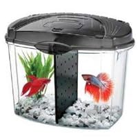Aqueon Betta Bowl Aquarium Kit in Black