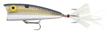Rebel Lures Teeny Pop R Fishing Lure