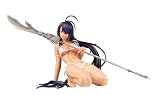 一騎当千XX 関羽雲長 ミス・フォトジェニック (1/6 PVC塗装済み完成品)
