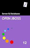 Open JBOSS. CD-ROM für Windows.