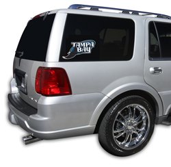 Tampa Bay Devil Rays Die-Cut Window Film - Large