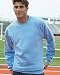Apparel : Crewneck Sweatshirt