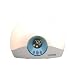 Alarm Clock Radio Lumie Bodyclock STARTER 30 Wake-up Light Alarm Clock