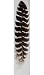 NEW Barred Wing Smudging Feather - RSBAR