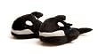 Shamu Adult Slippers