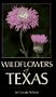 Wildflowers of Texas