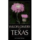 Wildflowers of Texas