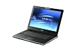 Sony VAIO VGN-AR230G 17" Laptop (Intel Core 2 Duo Processor T5600, 1 GB RAM, 200 GB Hard Drive, DVD+/-R Dbl Layer/DVD+/-RW Drive)