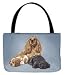 cocker_spaniel39cocker spaniel - Cocker Spaniel Picken Pedigrees Tote 13 x 18