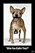 WHO YOU CALLIN' TINY Funny Dog Chihuahua Black Wood-Mounted Poster - 24" x 36"