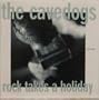 Rock Takes A Holiday