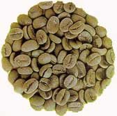 Green Coffee Beans, 1 lb