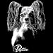 Papillon Adult T-Shirt