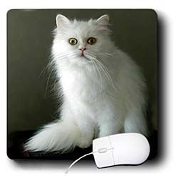 image link -  - B000EG5X3E
