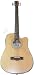 Musical Instruments : AXL Acoustic Electric Bass