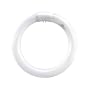ASL CIR22/41K 22-Watt Circline 4-Pin Electronic/Magnetic Ballast Bulb, Cool White