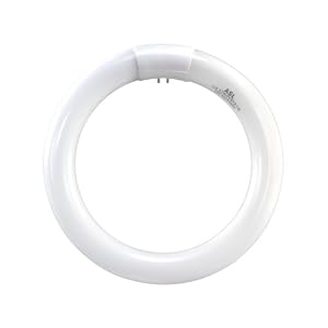 Buy ASL CIR22 41K 22-Watt Circline 4-Pin Electronic Magnetic Ballast Bulb, Cool White now!