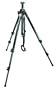 Manfrotto 055MF3 3-Section MagFiber Tripod without Head