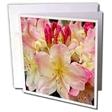 Flowers - Rhododendron - Greeting Cards-12 Greeting Cards with envelopes