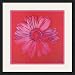 Art Select Daisy, 1982 by Andy Warhol Framed Art Ea - Model SP8892 Categorization: Office Framed Art & Decor > Kids Club Framed Art