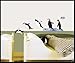 Easy Instant Decoration Wall Sticker Decal - Penguin Group Dive