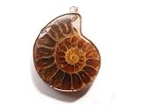 PE0380 Madagascar Ammonite Fossil Crystal Pendant