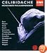 Sergei Celibidache Conducts [15cd]