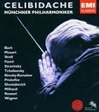 Search : Sergei Celibidache Conducts [15cd]